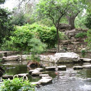 Meet your Posher, Dawn